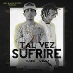 Pusho Ft. Ozuna - Tal Vez Sufrire MP3
